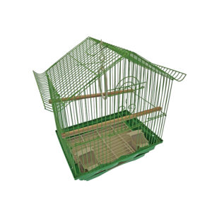 Cage oiseaux - vert