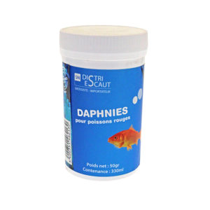 Daphnies nourriture pour poisson rouge