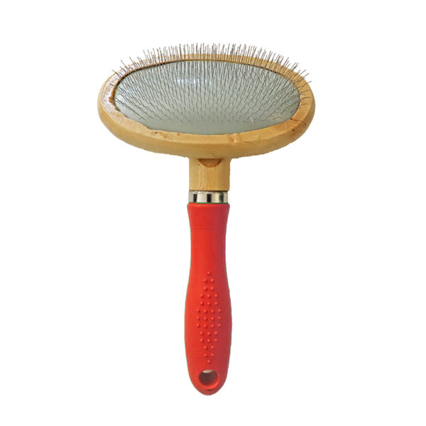 Brosse ovale - rouge