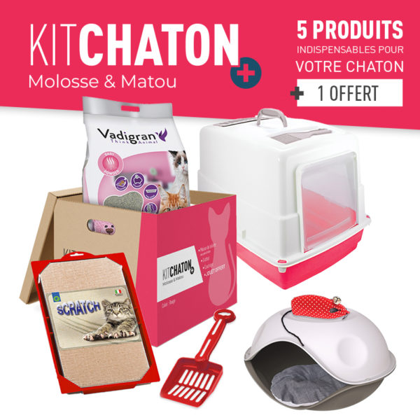 KIT CHATON + COLORIS ROUGE