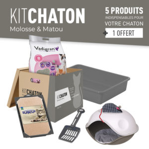 KIT CHATON COLORIS GRIS