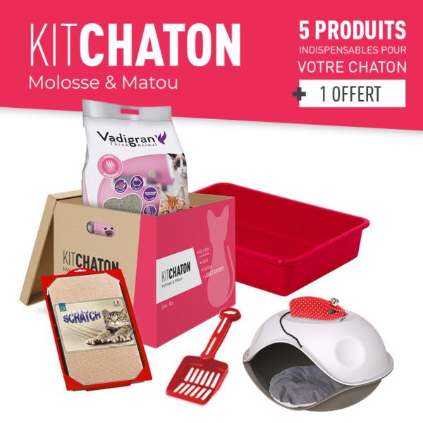 KIT CHATON COLORIS ROUGE