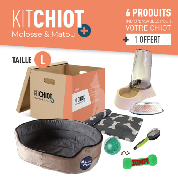 KIT CHIOT + TAILLE L