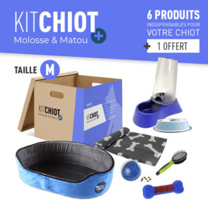 KIT CHIOT + TAILLE M