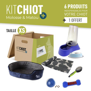 KIT CHIOT + TAILLE XS