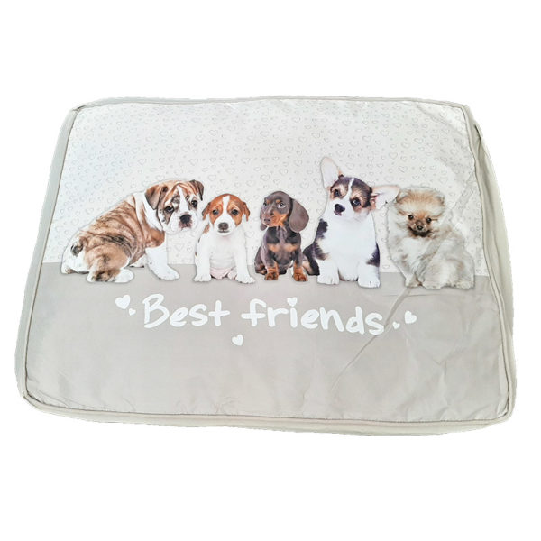 Coussin motif chien