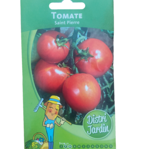 tomate saint pierre