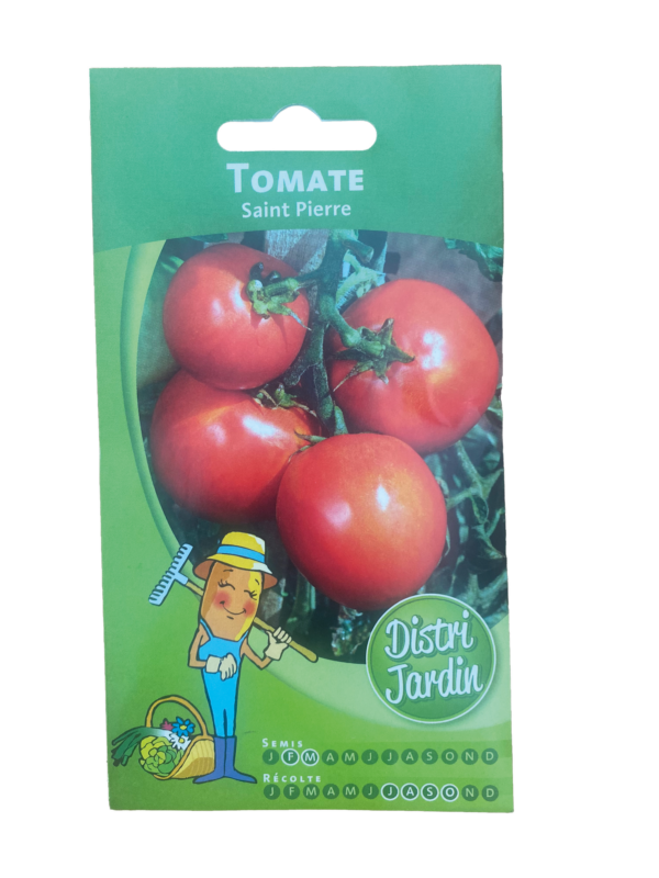 tomate saint pierre