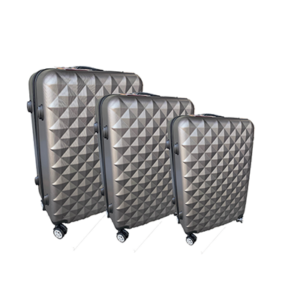 Valises grises