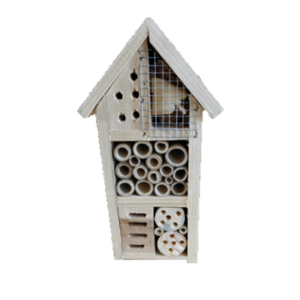 Maison à Insectes