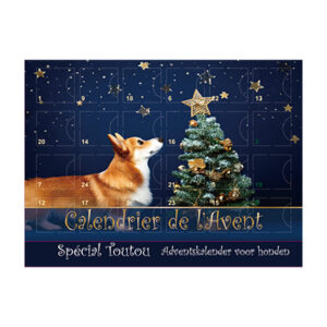 Calendrier de l'Avent Chien Bleu