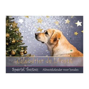 Calendrier de l'Avent Chien Argenté