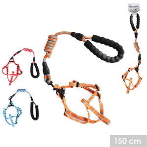 Harnais + Laisse Nylon pour Chien