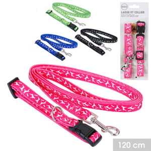 Laisse + Collier Motif Chien
