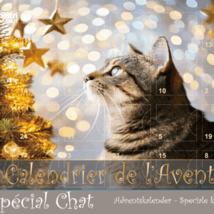 Calendrier de l'Avent Chat Argenté