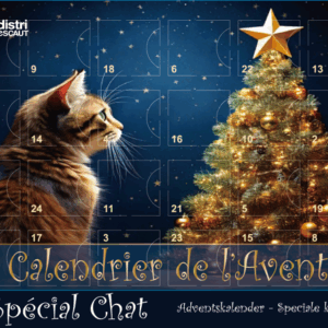 Calendrier de l'Avent Chat Bleu