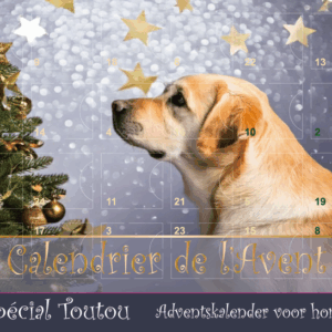 Calendrier de l'Avent Chien Argenté