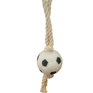 Balle Ballon de Foot avec Corde