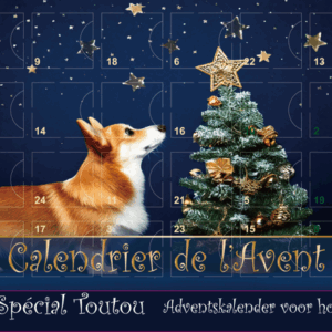 Calendrier de l'Avent Chien Bleu