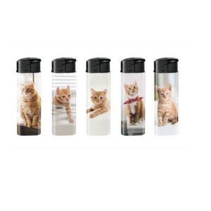 Briquets Chats Roux x50