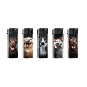 Briquets Chien Fun x50