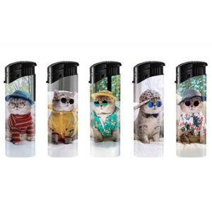 Briquets Chat Lunettes x50