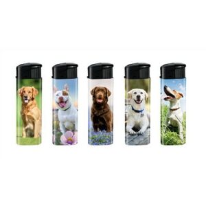 Briquets Chien x50