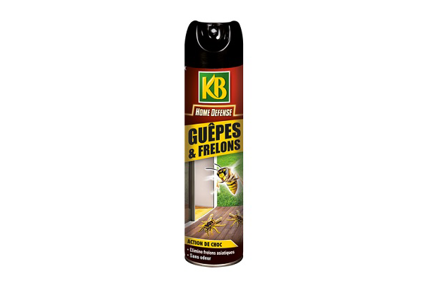 Insecticide Guêpes & Frelons