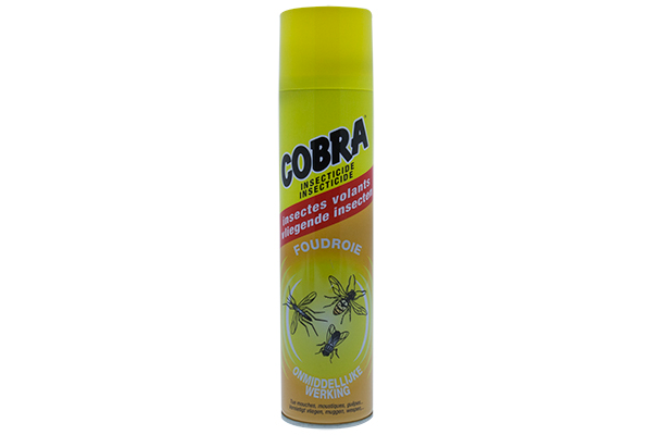 Insecticide Volants - 400 ml