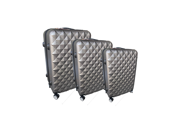 Valises grises